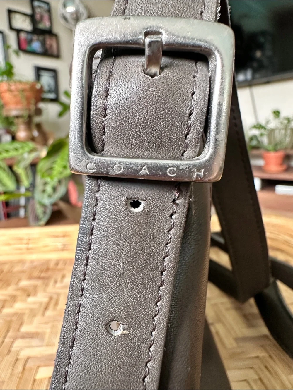 Coach classic late